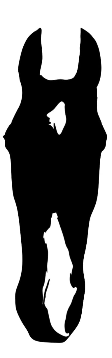 Custom Horse Head Silhouette