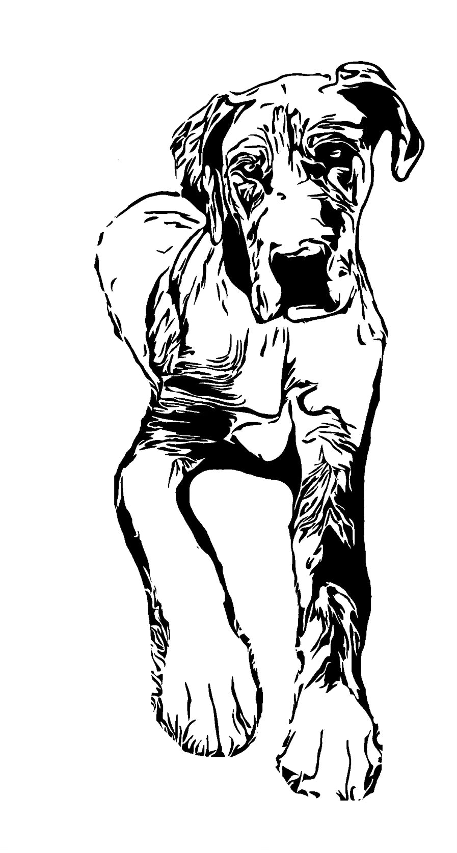 Custom Animal Sketch