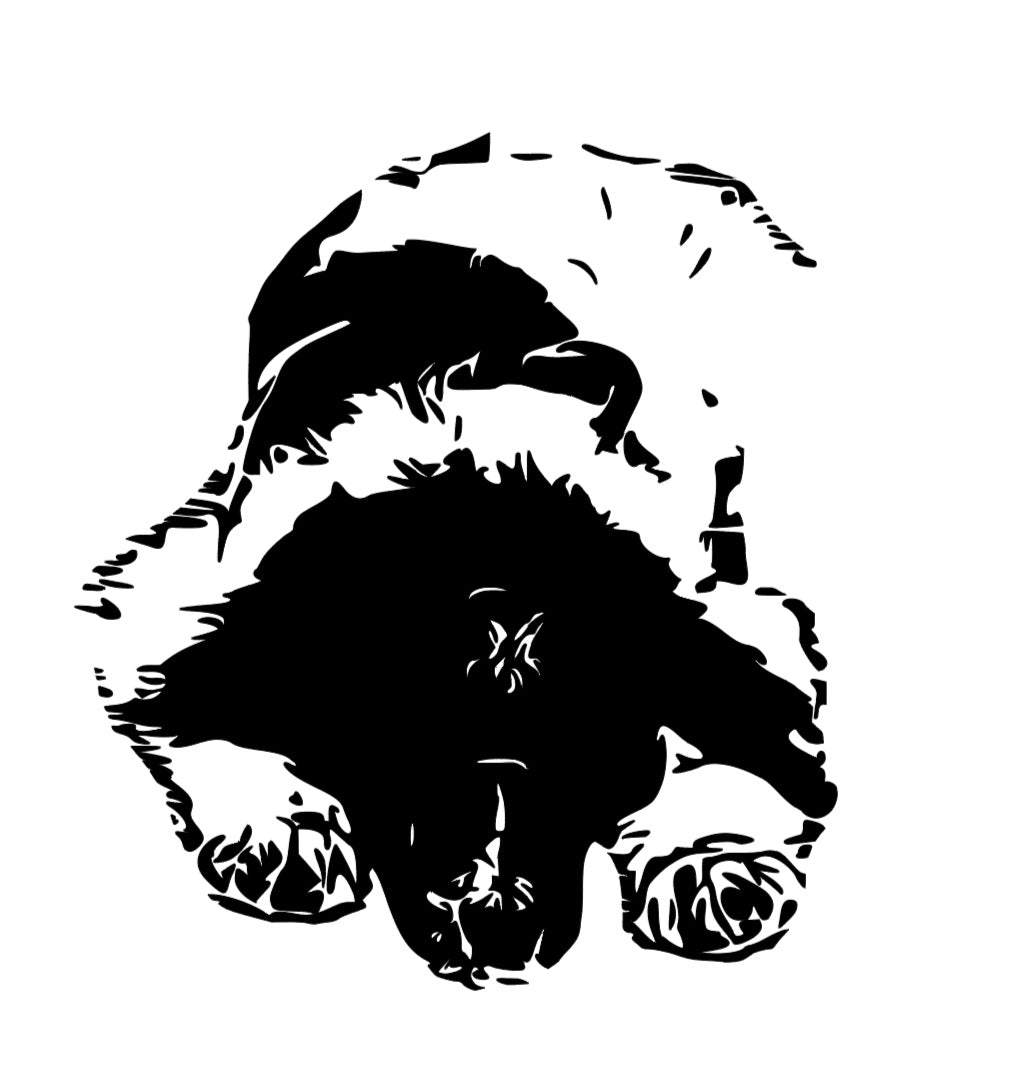 Custom Animal Sketch