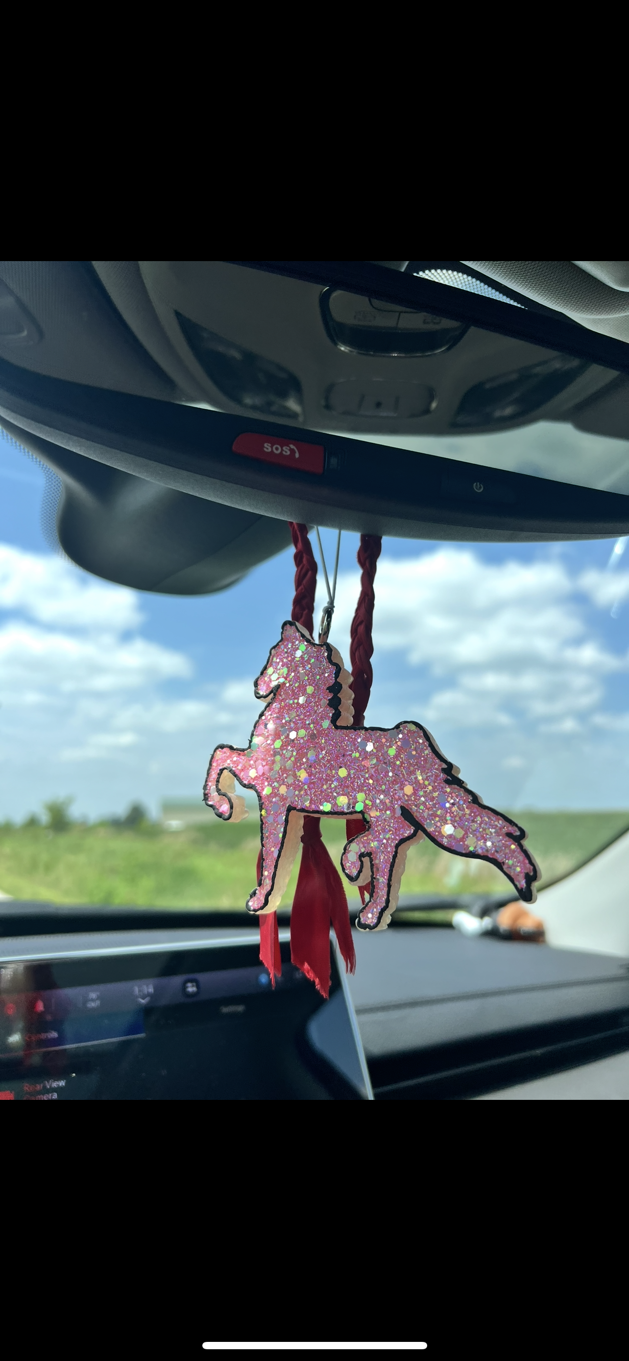Car Freshies (Air fresheners)