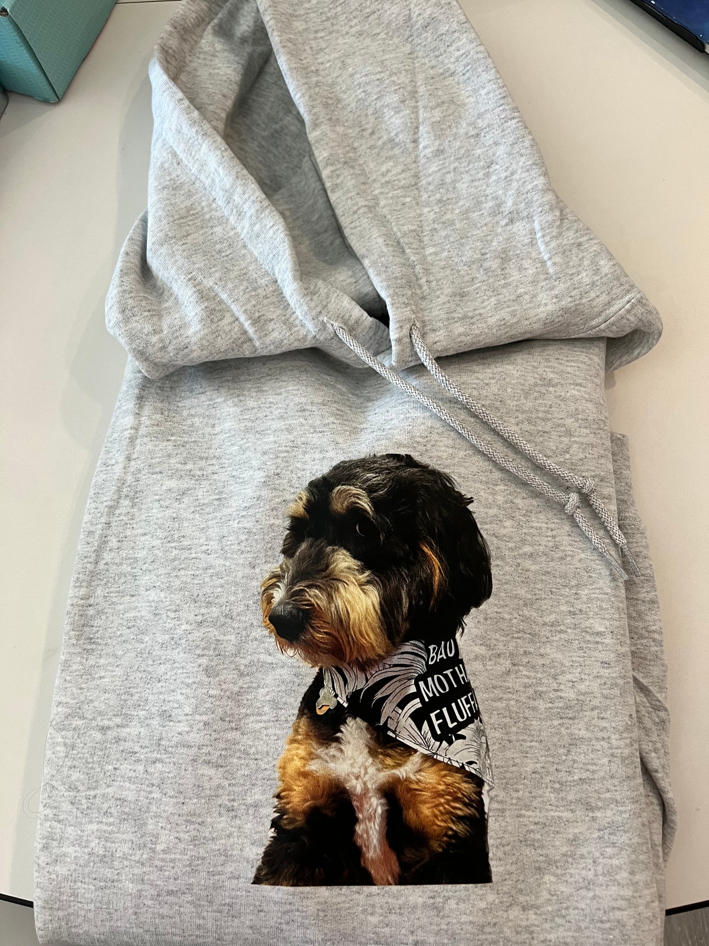 Custom Adult Hoodie for FULL Color Logo