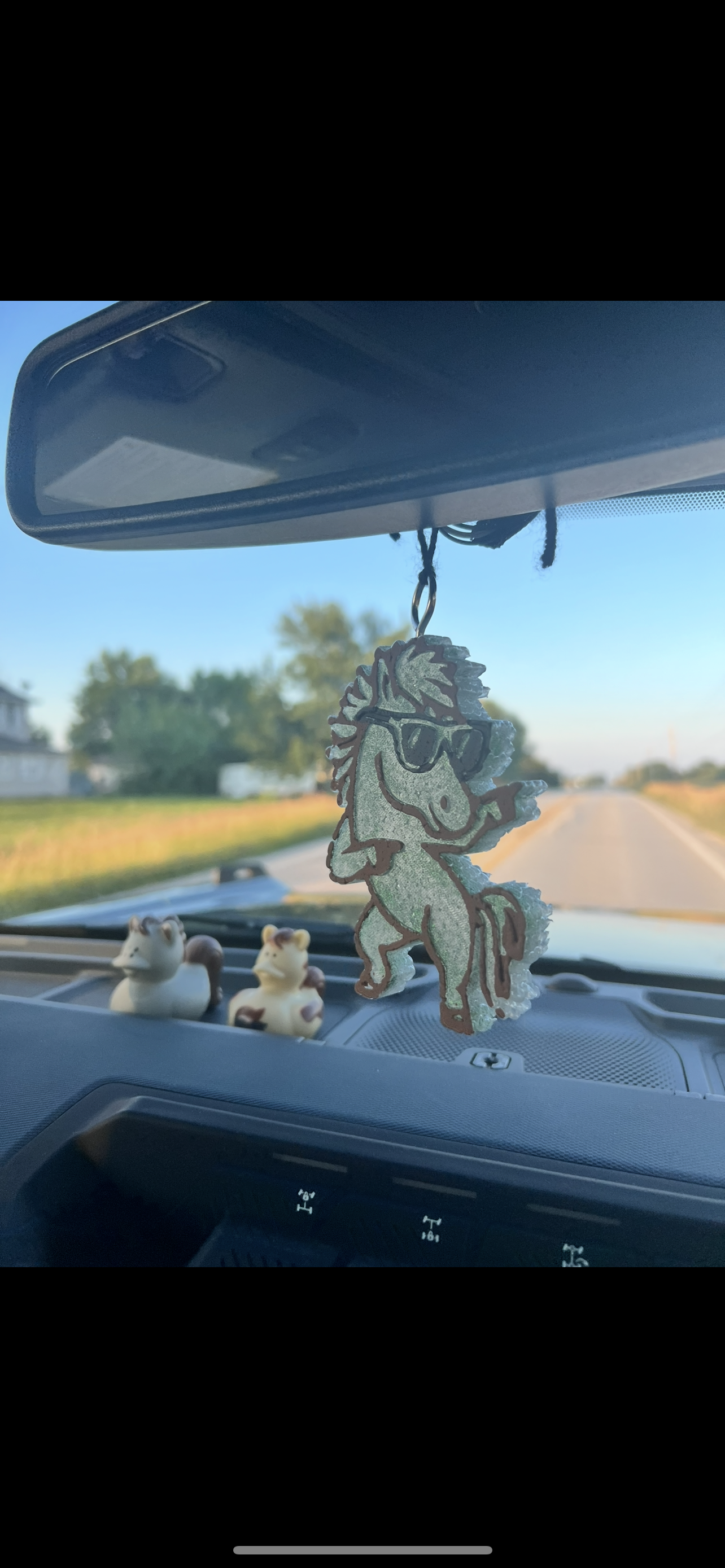 Car Freshies (Air fresheners)